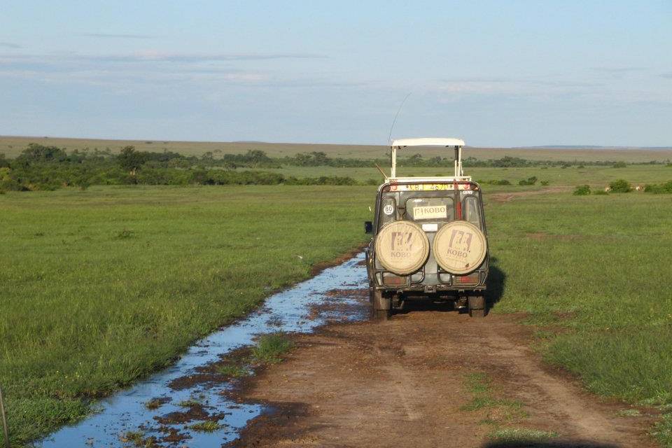 Rutas salvajes