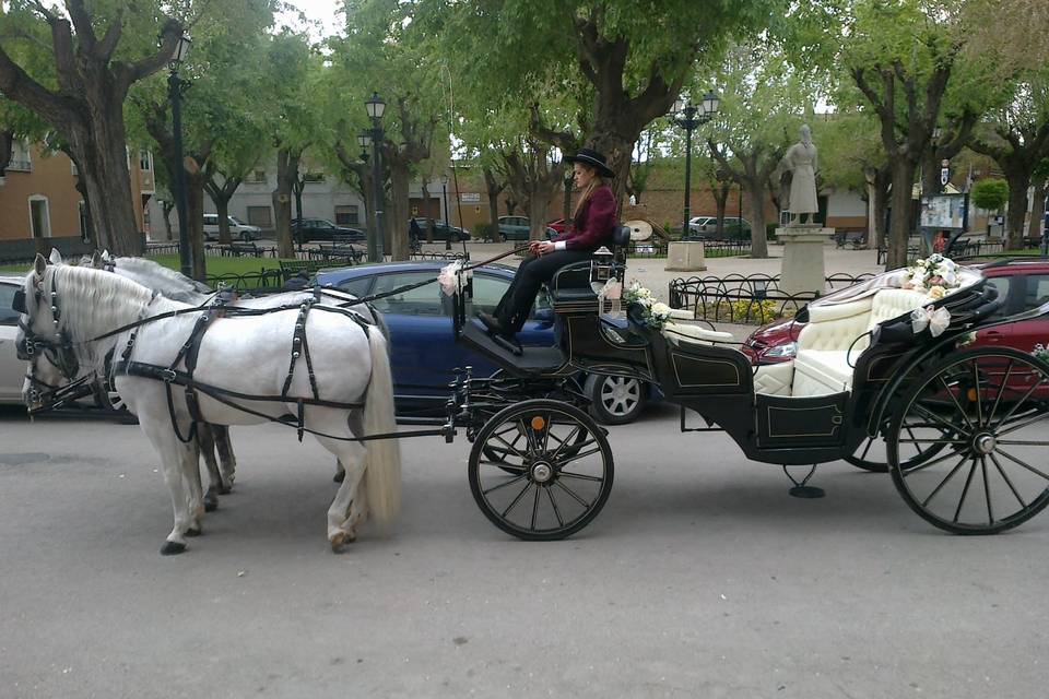 Carruajes Nacho