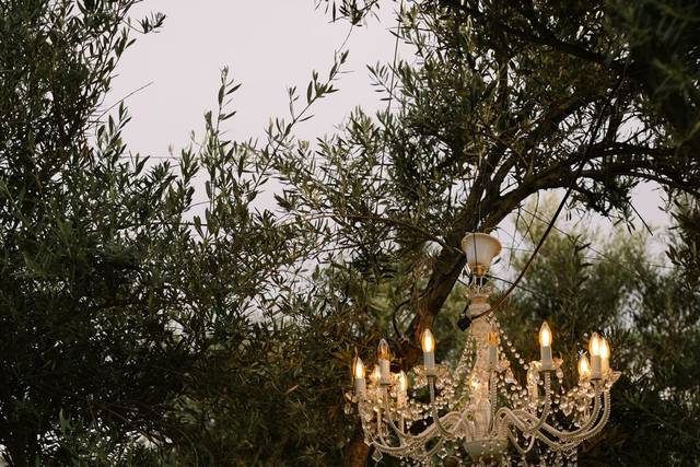 Detalle de jardines