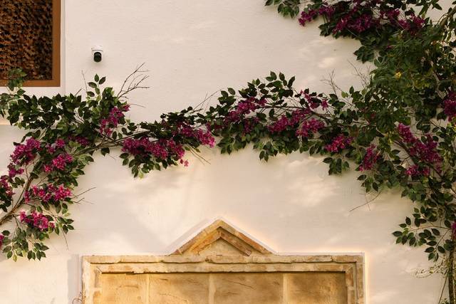Detalle fuente jardines