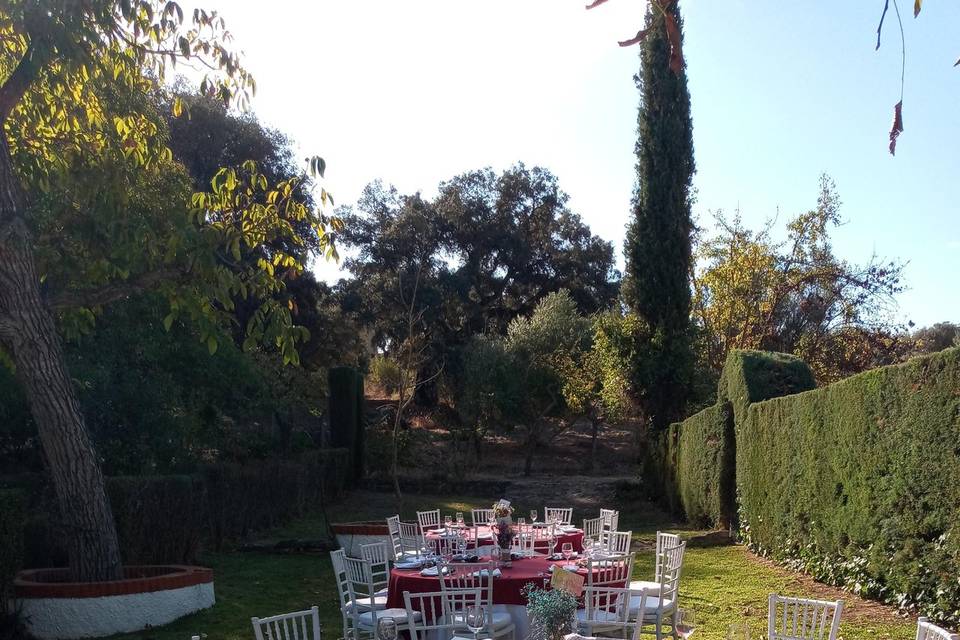 Boda en ronda!