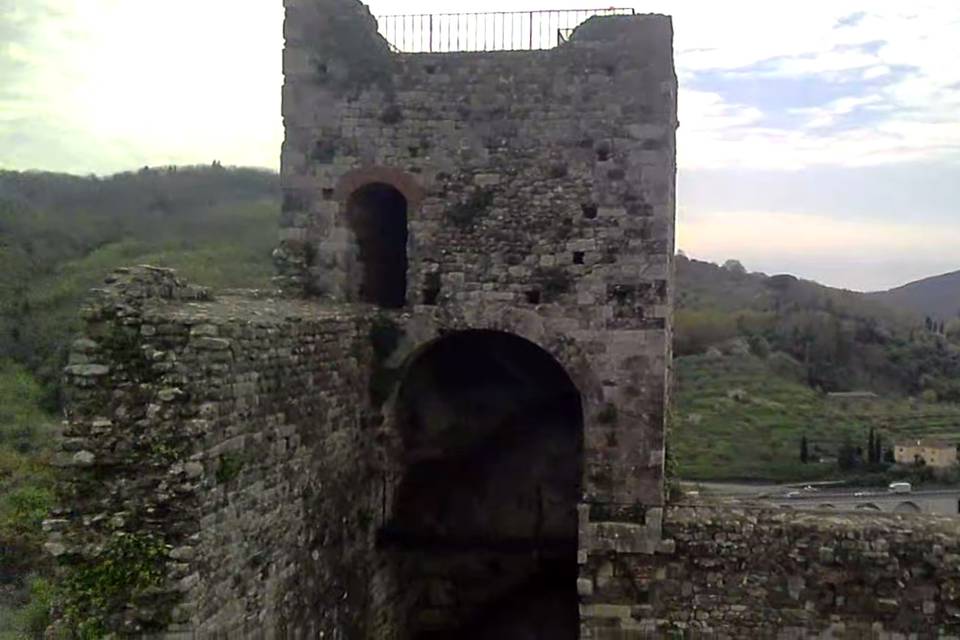 Dron profesional