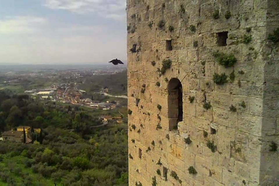 Esperia Televisión