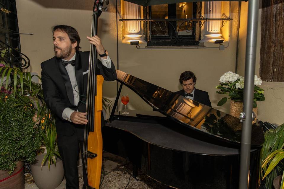 Formato acústico trío/cajón