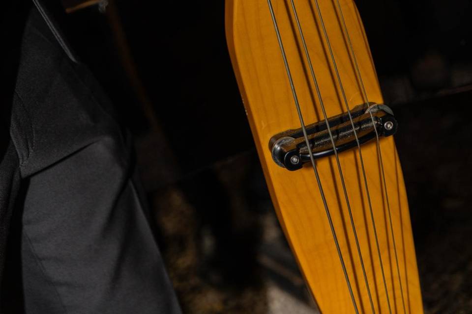 Formato acústico trío/cajón
