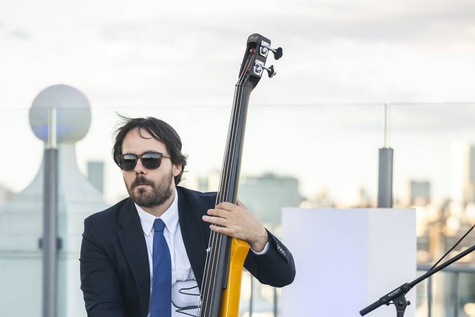 Cuarteto musical · Hotel Riu