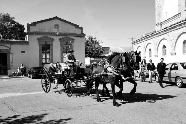 Boda en Villalpando