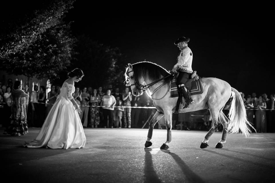 Rafael Badia - Fotografía