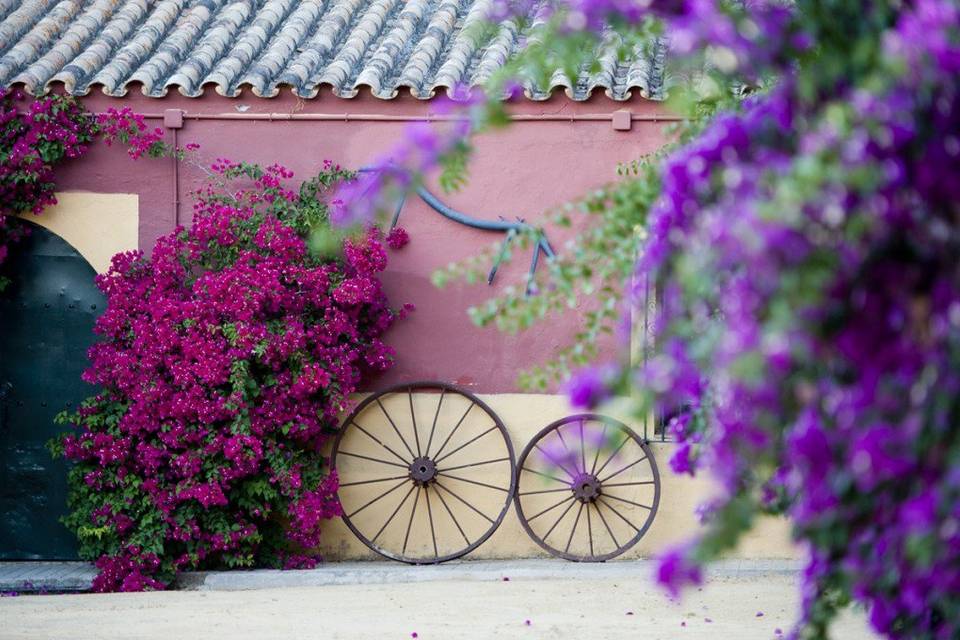 Hacienda sureñamente