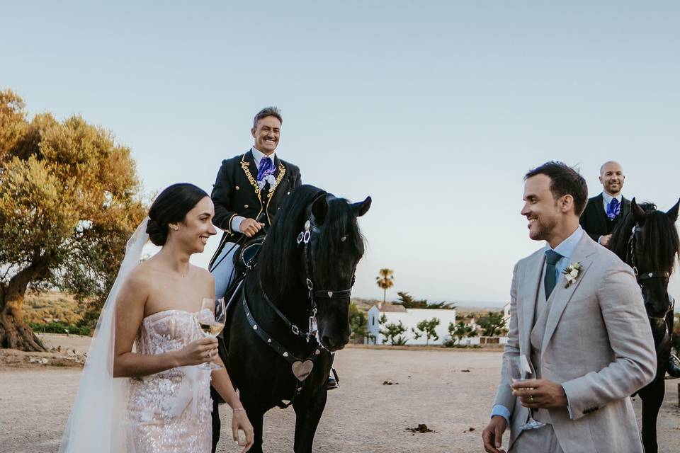 Boda E&N