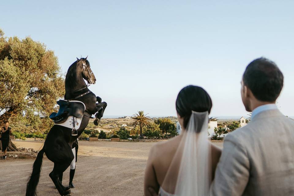 Boda E&N