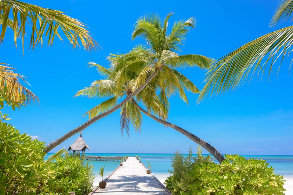 Caribe