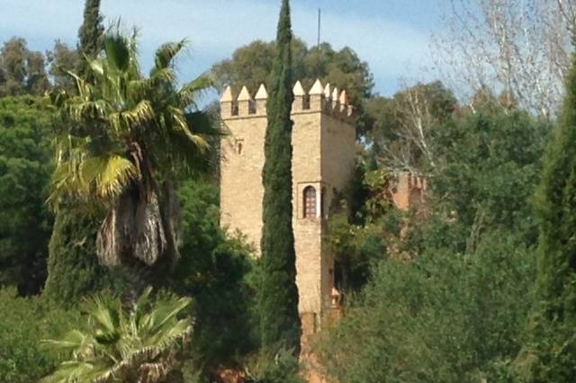 Cortijo Palacio Los Montes