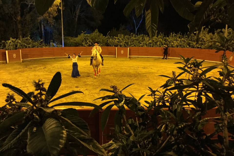 Cortijo Palacio Los Montes