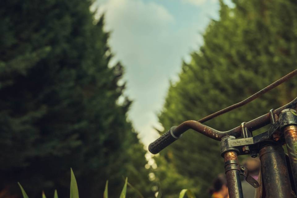 Detalles del jardín