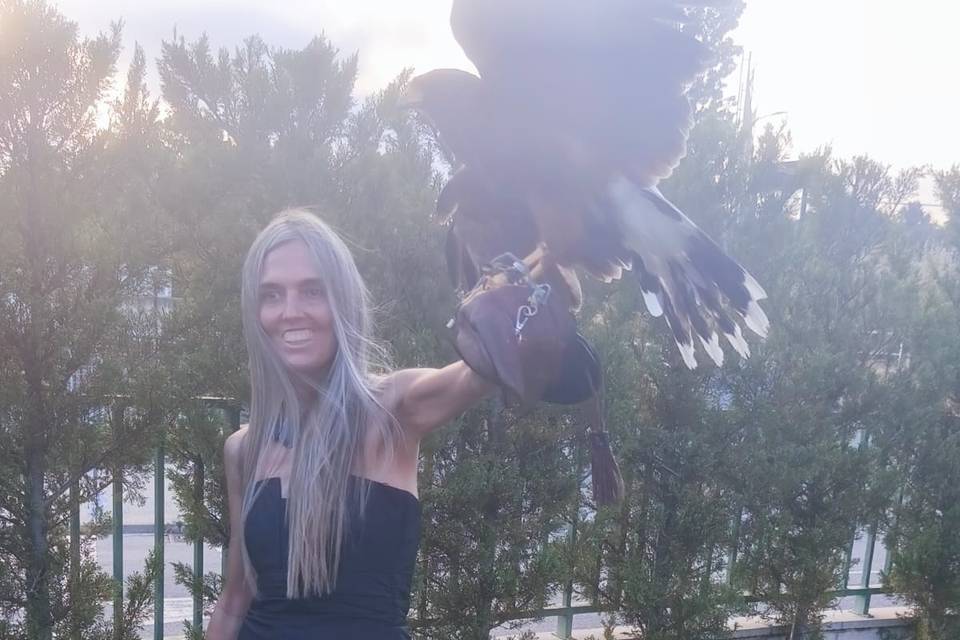 Invitados