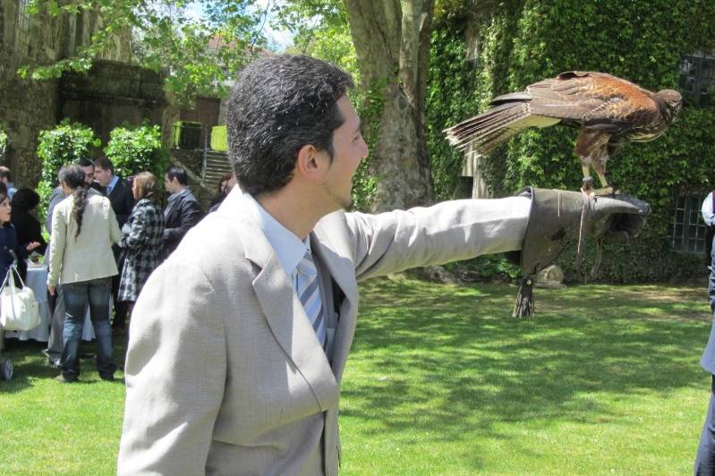 Novio y aguila