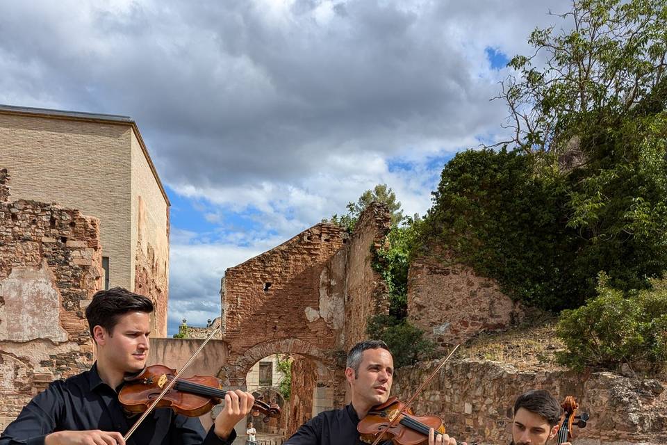 Trio Alacoda