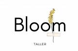 Bloom Taller