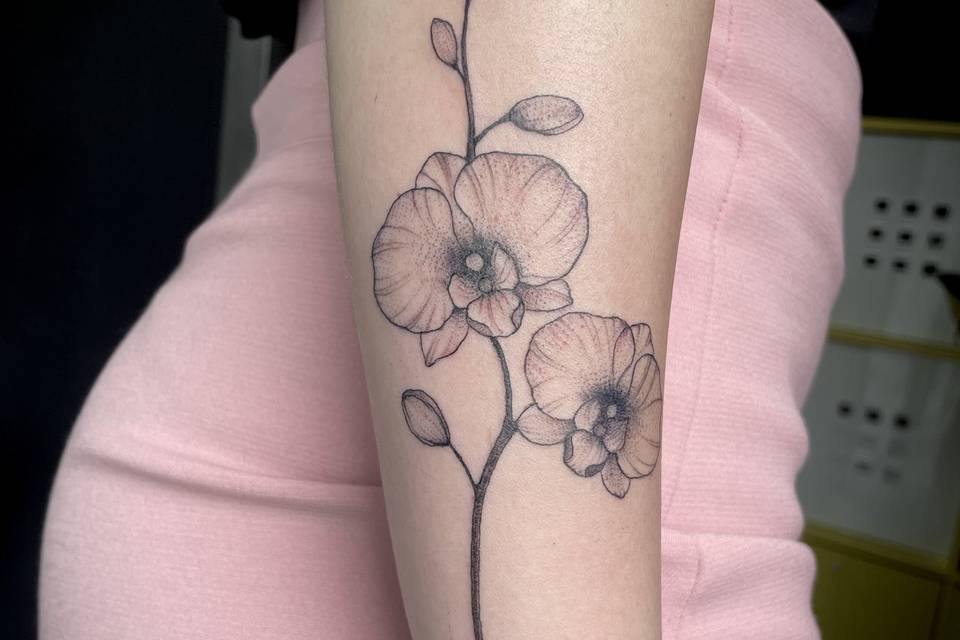 Ornamental fine line