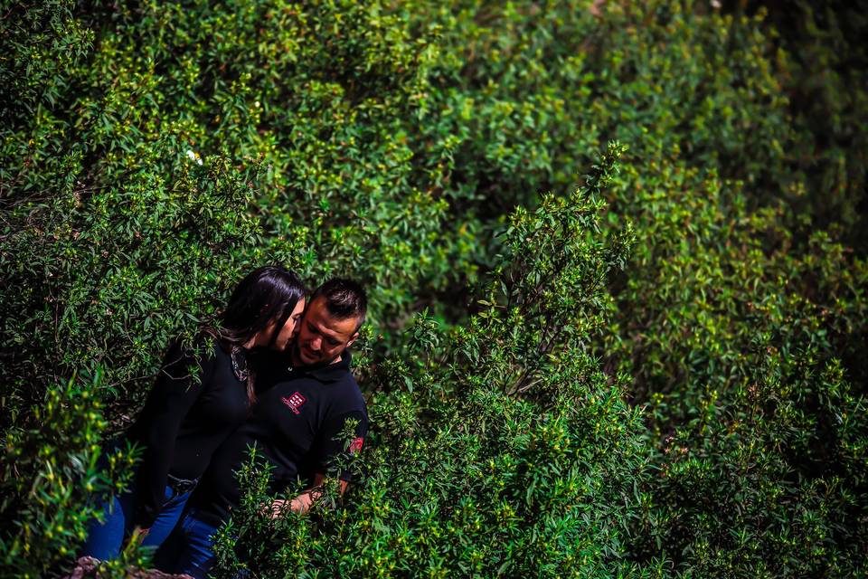 Fondo verde en el campo