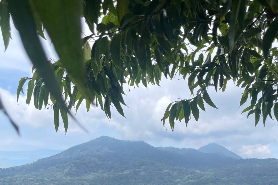 Bali