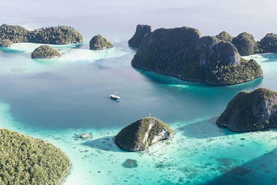 Islas únicas