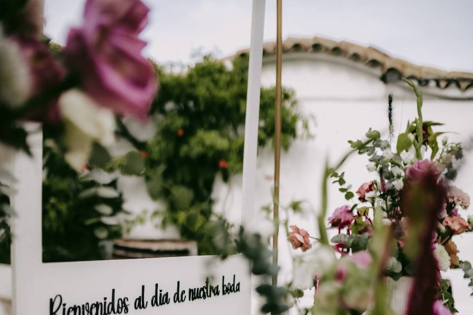 Amor Loco Wedding Planner