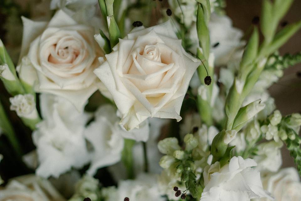 Amor Loco Wedding Planner
