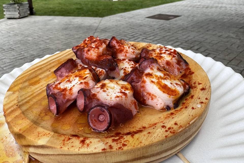 Pulpo