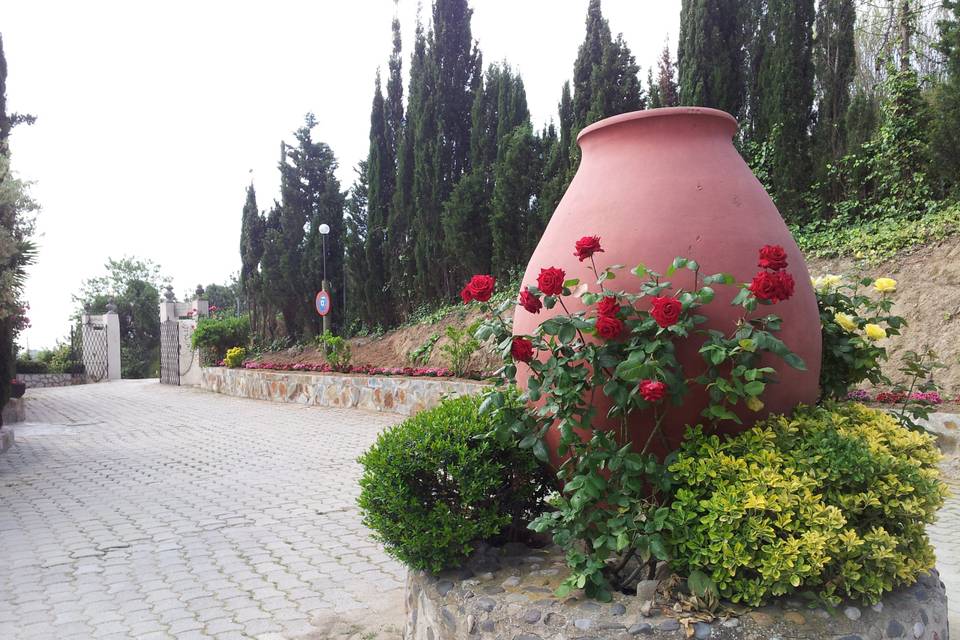 Masia el Molí de Cal Dimoni