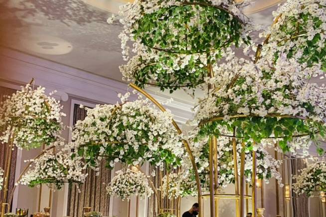Van Schelle Events