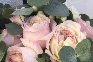 Flores Alme