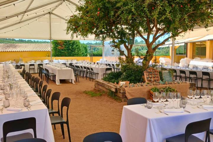 Banquete