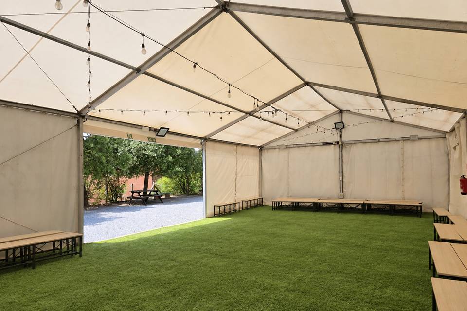 Carpa fiesta