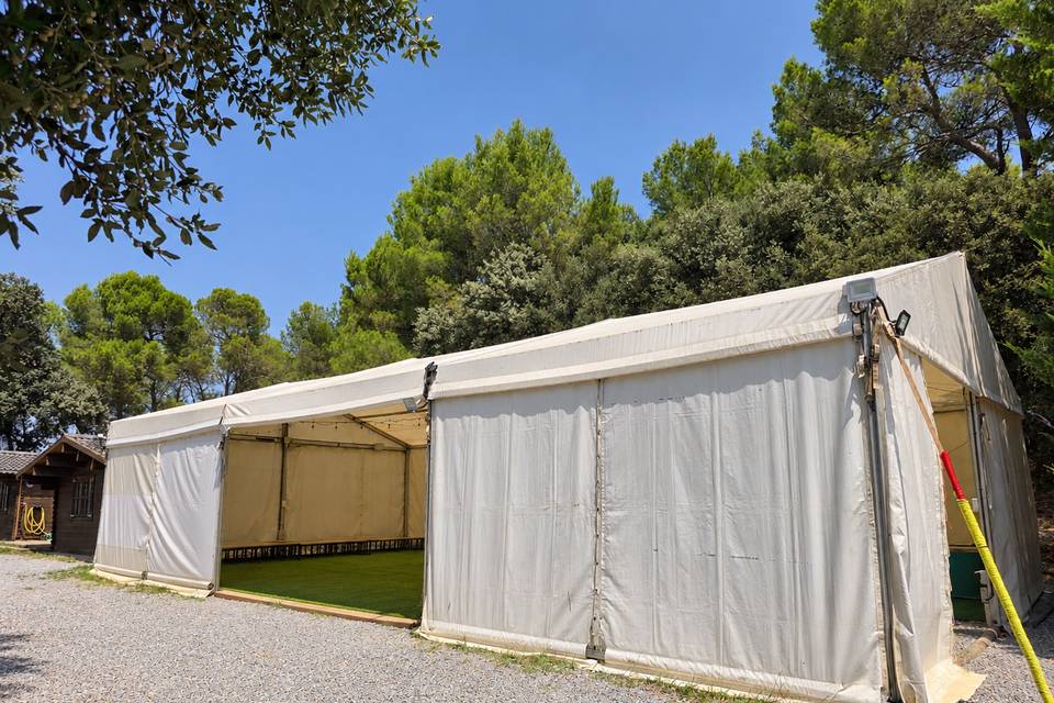 Carpa fiesta