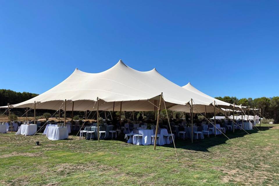 Carpas y Eventos