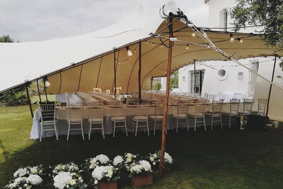 Carpas y Eventos