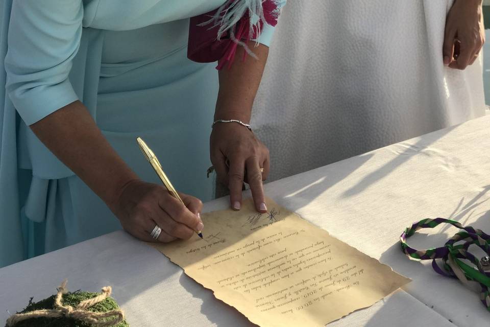 Firma de los testigos