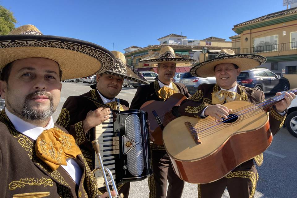 Serenata en Málaga