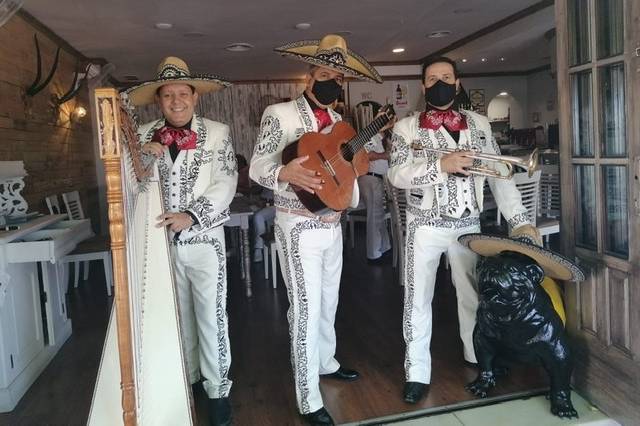 Mariachis Internacional Costa del Sol