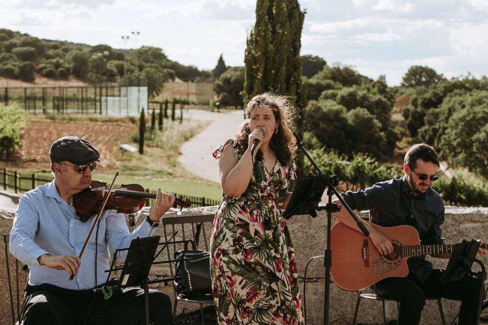 Violín ceremonia