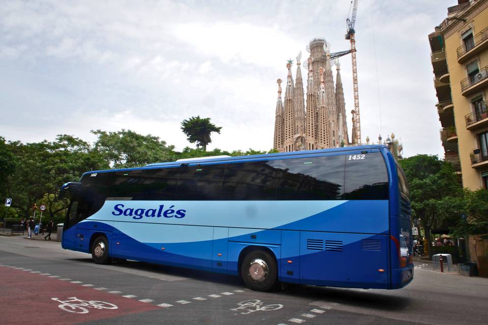Autobuses