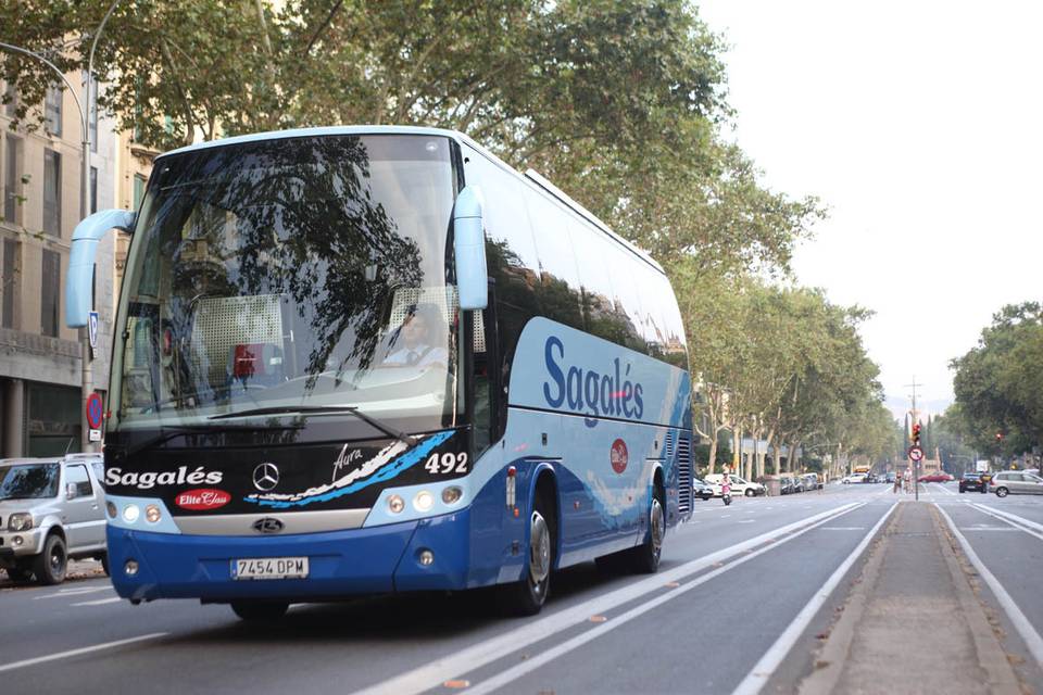 Autobús hasta 35 plazas