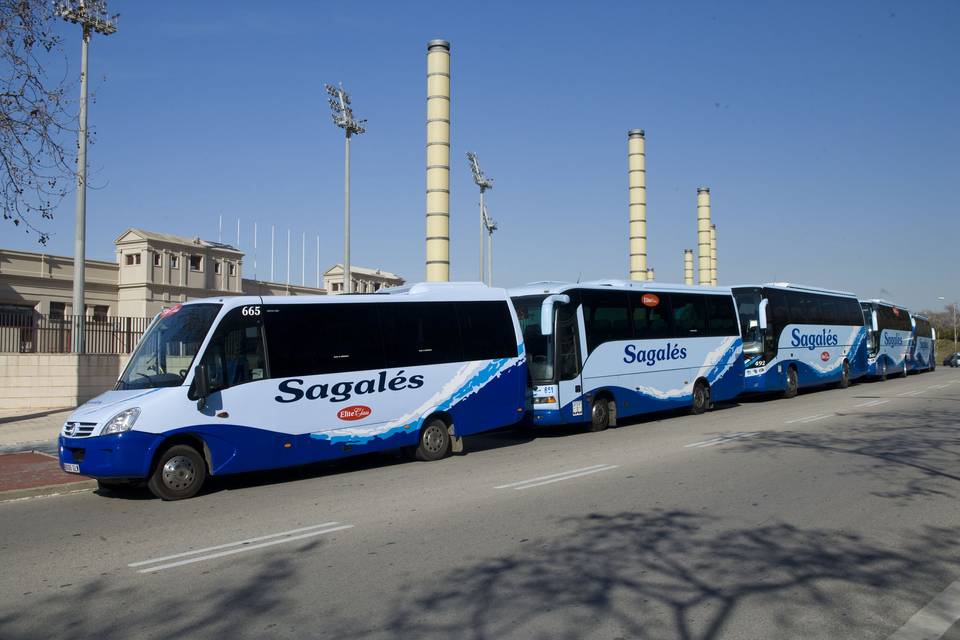 Sagalés