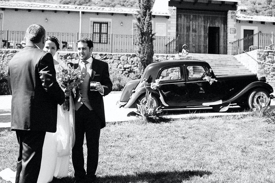 Novios en el jardín de yeguas