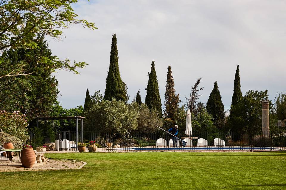 Torre del Pino - La Cocina de José Fernandez