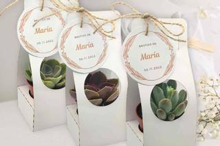 Suculenta con amor