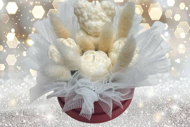 Latidos de Luz.  22€