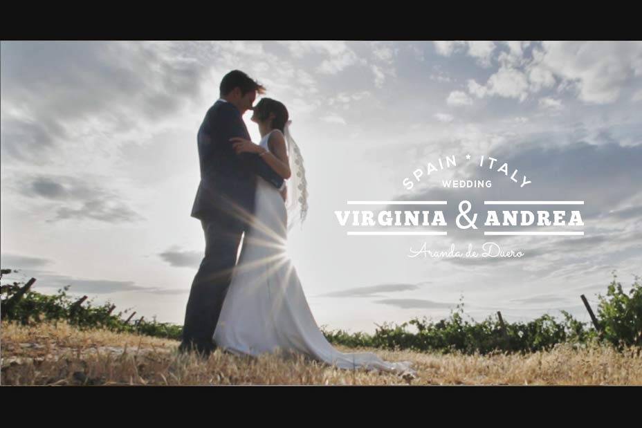 Videography Wedding Films